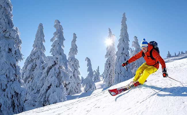 BC Aircraft Charters